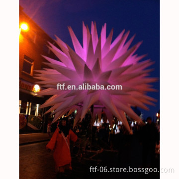 Fashion Inflatable Flowers